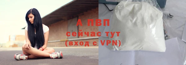 ПСИЛОЦИБИНОВЫЕ ГРИБЫ Киреевск