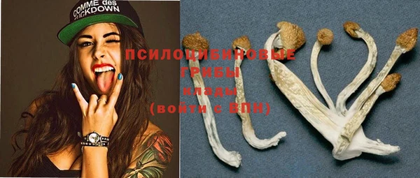 бошки Кинешма