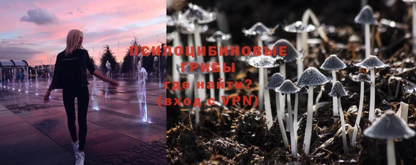 бошки Кинешма